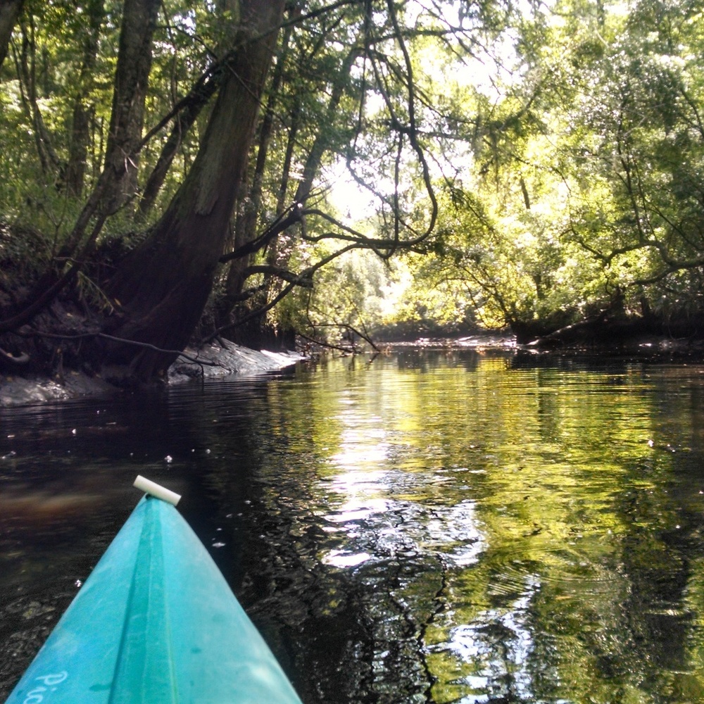 Meet your Posher, Thomas